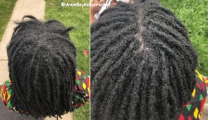 Dreadlock Maintenance
